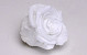 Rose Heads 5cm White