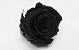 Rose Heads 5cm Black