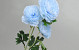 Artificial Camellia Blue 70cm 