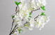 Künstliche Kirschblütenbäume Weiß 90cm 