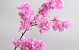 Artificial Apple Blossom Pink 100cm 
