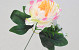 Artificial Peony Light Pink 38cm 