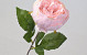 Künstliche Pfingstrose Rosa 42cm 