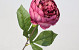 Artificial Peony Dark Pink 42cm