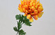 Chrysanthème artificiel Orange 52cm 