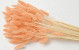 Bouquet Lagurus Pêche Pastel 65cm