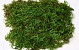 Sheet Moss Green Sample