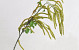 Artificial Hazel Twig Green 78cm 