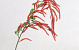 Artificial Hazel Twig Red 78cm 