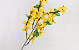 Forsythia artificiel Jaune 51cm 