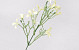 Decorative Branch Cream 33cm 