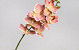 Artificial Orchid Pink 73cm 