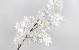Branche de lilas artificielle Blanc 100cm 