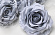 Rose Satin Gray D11cm