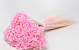 Glixia (50gr) Pastel Pink 30cm