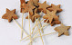 Coconut star on 12cm Stem