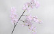 Artificial Lilac Light Pink 100cm 