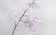 Branche de lilas artificielle Rose Clair 100cm 