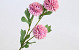 Künstliche Chrysantheme Rosa 66cm 