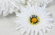 Kunst Gerbera Wit D15cm