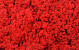 Reindeer Moss Red per kg