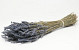 Lavendin 40cm 100Gr