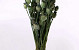 Bouquet Pavot Vert 65cm