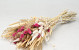 Dried Flower Bouquet White Pink 55cm