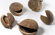 Buddha Nut 8-12cm 15-Pack