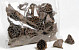 Lotus 6-8cm 50-Pack