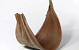 Coco Galera 40-55cm