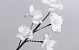 Foam Flower Spray White, D 13cm