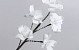 Schaumstoff Blüte Weiß, D 13cm