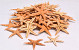 Shells Starfish 50pcs.