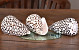 Olok Batik 9-10cm