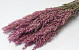 Bouquet Avoine Rose 70cm