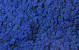 Lichen stabilisé Bleu Royal par kg