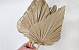 King Palm Spear 