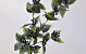 Blüte Schaumstoff Anthrazit, D 9cm