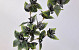 Foam Flower Spray Charcoal, D 9cm
