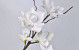 Blüte Schaumstoff Weiß 70cm 