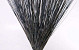 Reed Cane Blue 75cm