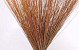 Reed Cane Zalm-roze 75cm