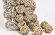 Brunch Ball 6cm 50pcs sac
