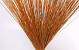 Bouquet Reed Cane Orange 75cm