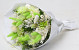 Bouquet de Fleurs Séchées Vert Clair 