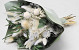 Bouquet de Fleurs Séchées Blanc