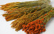 DIY Bouquet de Fleurs Sechées Orange Mix