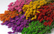 Bouquet Phalaris Assorti 6-pack 70cm