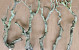 Bois de Lila 70-90cm Mince